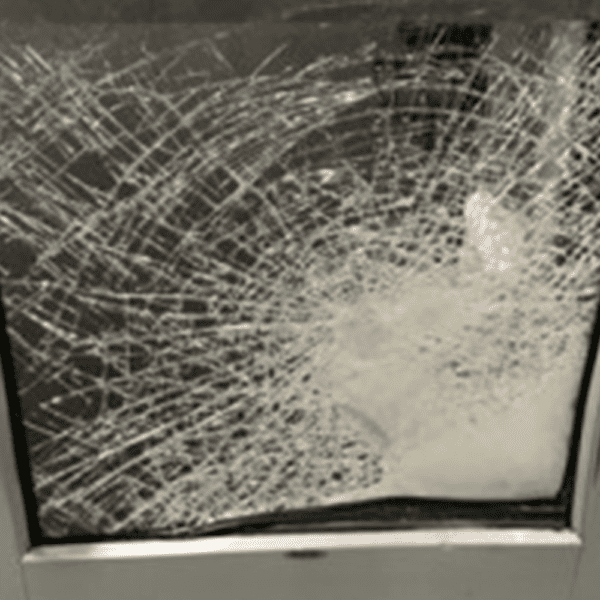 A close up picture of shattered glass still intact due to the security film installed.
