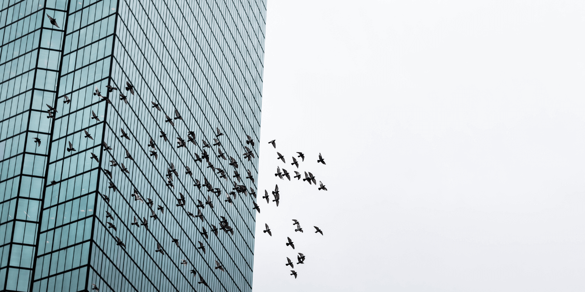 A skyline view of a flock of birds flying past a commercial building.