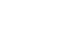 NGSX Logo Footer Sm